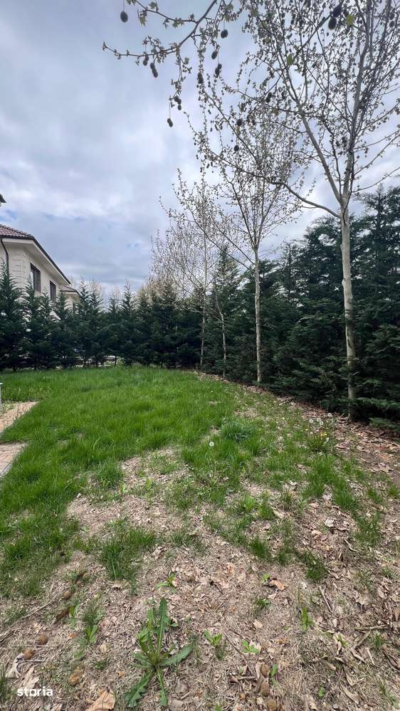 Vila individuala cu 5 camere Otopeni - Imagine principală: 5/17