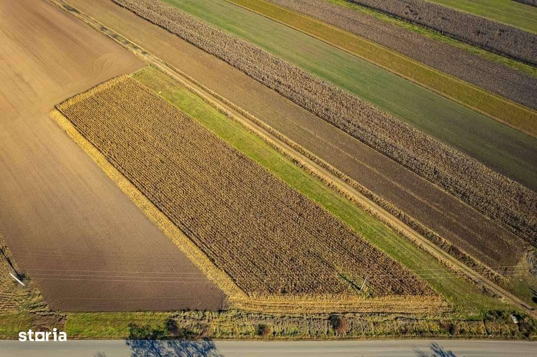 De vânzare teren intravilan ín intrare la Arcus - Imagine principală: 4/9