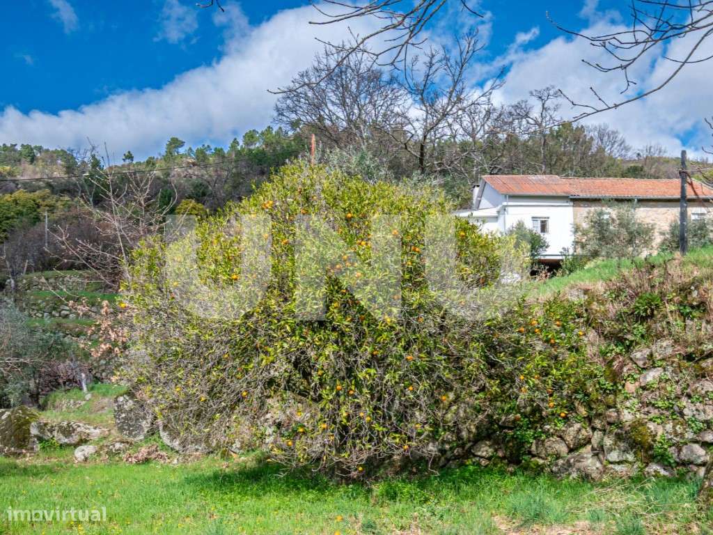 Quinta T2 com Habitação, Infraestruturas Agrícolas e Terreno com Vi...-46