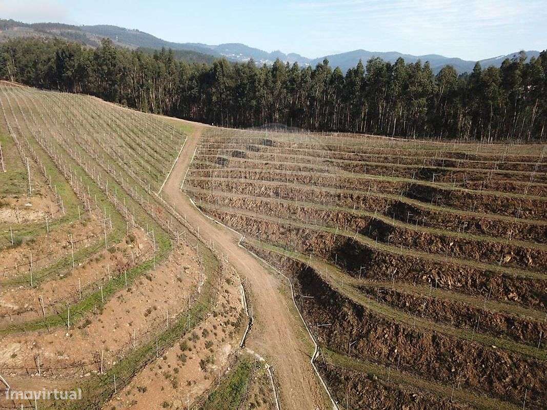 Quinta  para venda - Grande imagem: 5/9