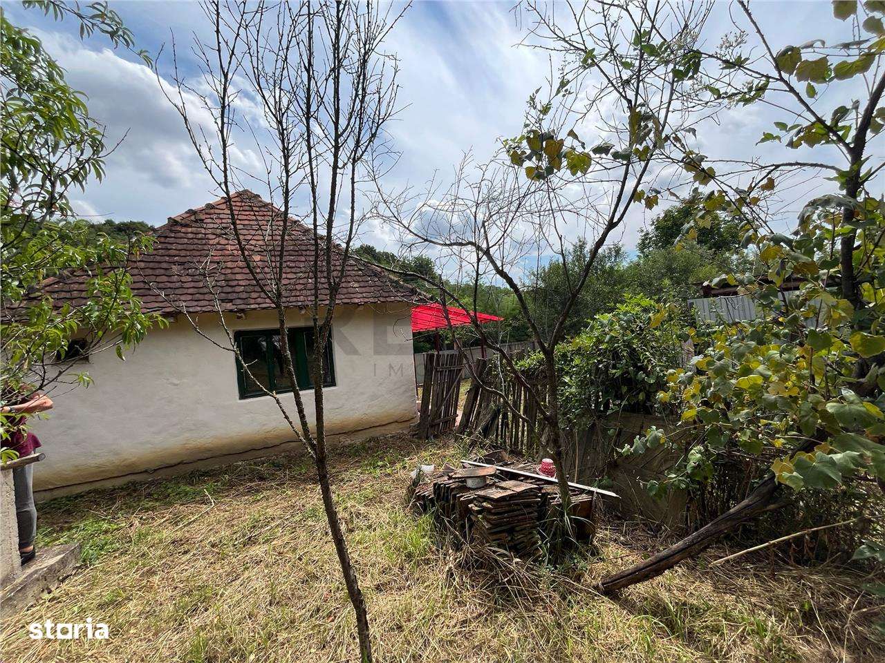 RECO Casa batraneasca cu teren generos la Lupoaia -Holod - Imagine principală: 3/20
