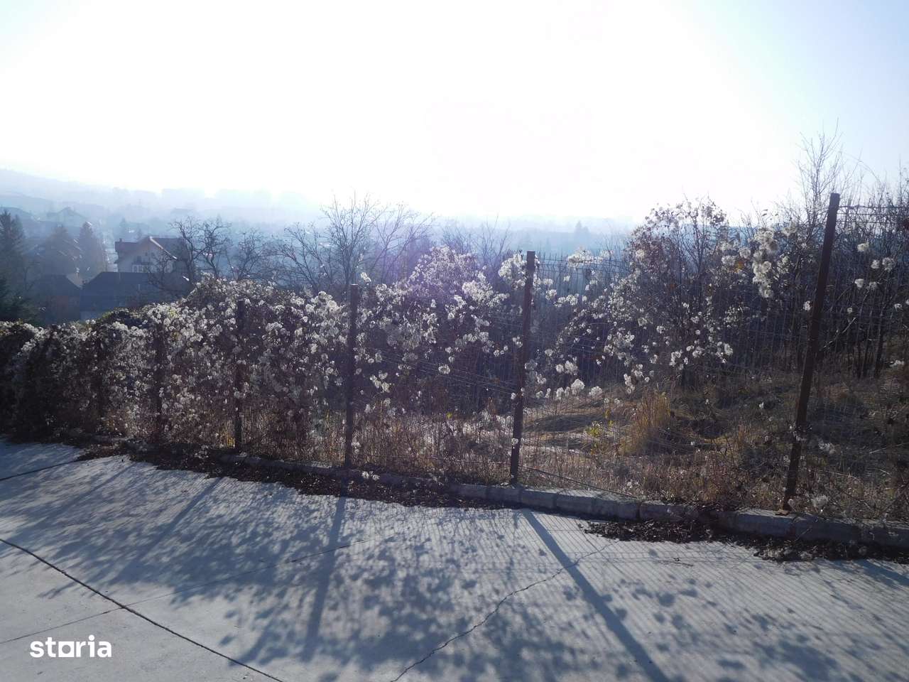 vanzare teren constructii cart Grigorescu-0