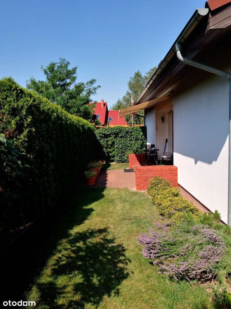 Suchy Las -Zielątkowo - ZMIANA CENY-12