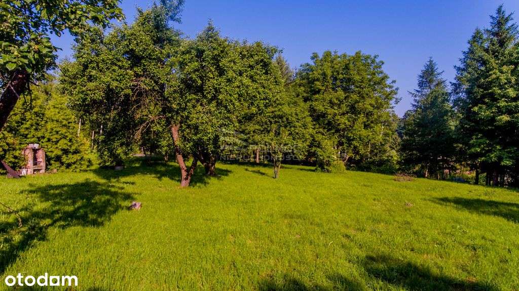 Piękna duża działka 3930m2 Kłodzko Jaszkowa Dolna - Pełny obrazek: 4/6