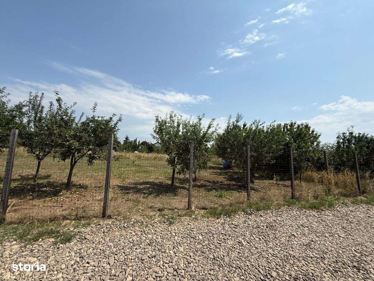 TEREN PENTRU CONSTRUCTIA CASEI, MIROSLAVA, VALEA URSULUI-1