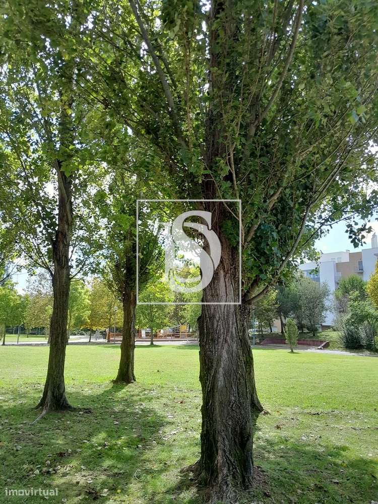 Loja com terraço na Quinta da Flamenga Vialonga a estrear - Grande imagem: 4/14