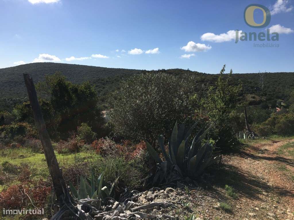 Loulé - Terreno com 9.800m2, permitindo a construção de uma moradia - Grande imagem: 4/5