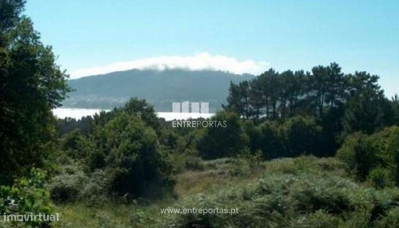 Terreno para construção, Seixas, Caminha - Grande imagem: 2/6