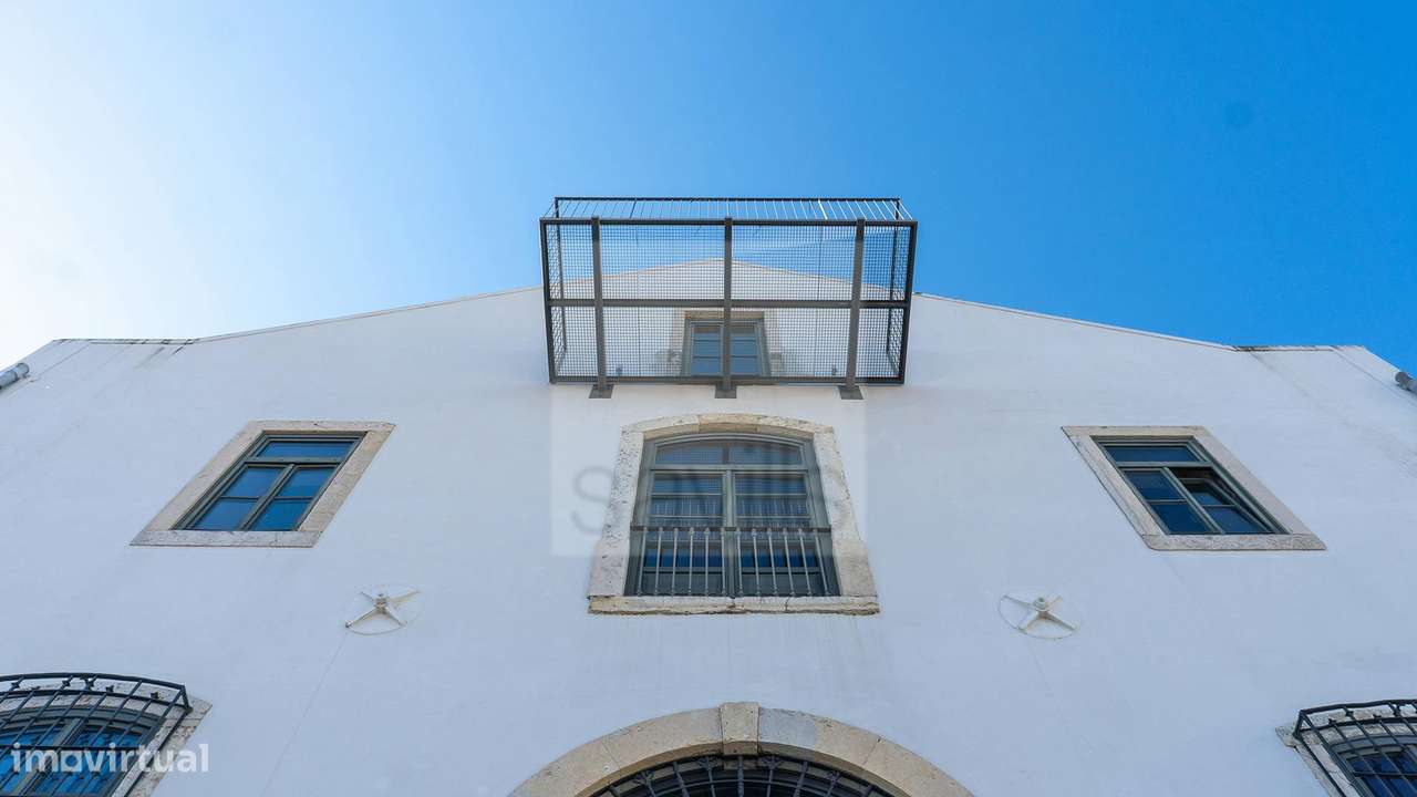 Beato 1904 - Grande imagem: 4/39