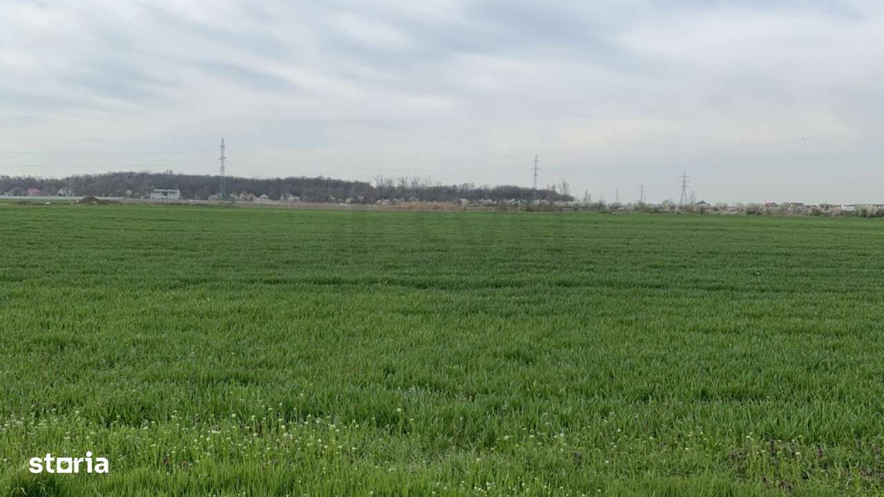 Teren Magurele - 16573 mp - Acces Dublu - Proximitate A0 - Imagine principală: 5/6