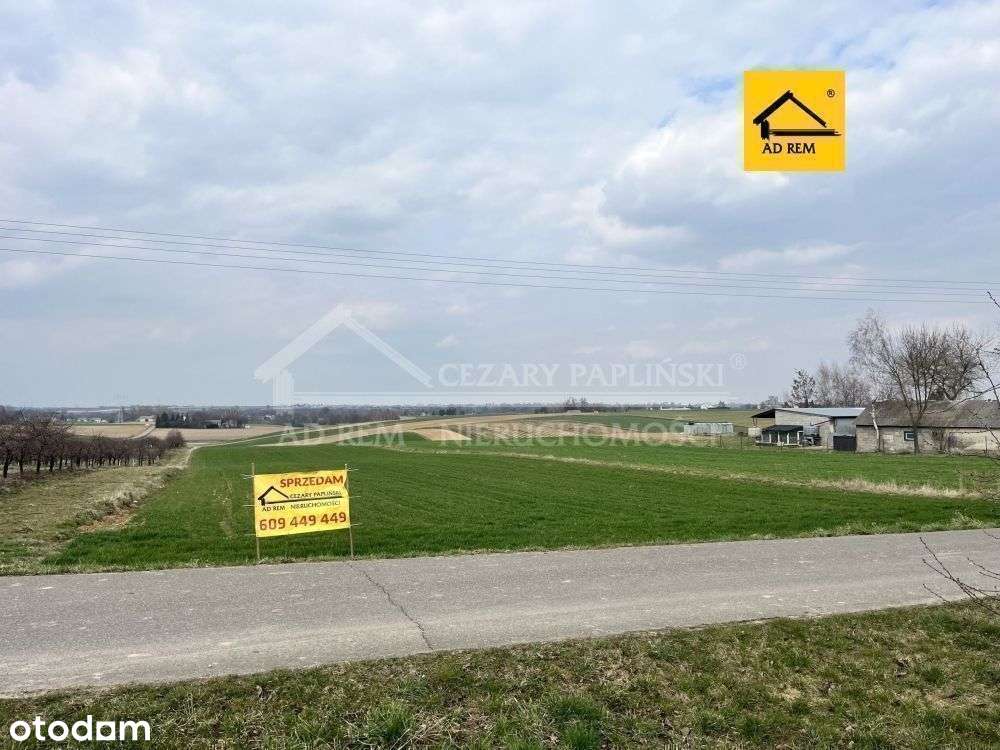 Sieprawice, budowlana, 1500 mkw-4