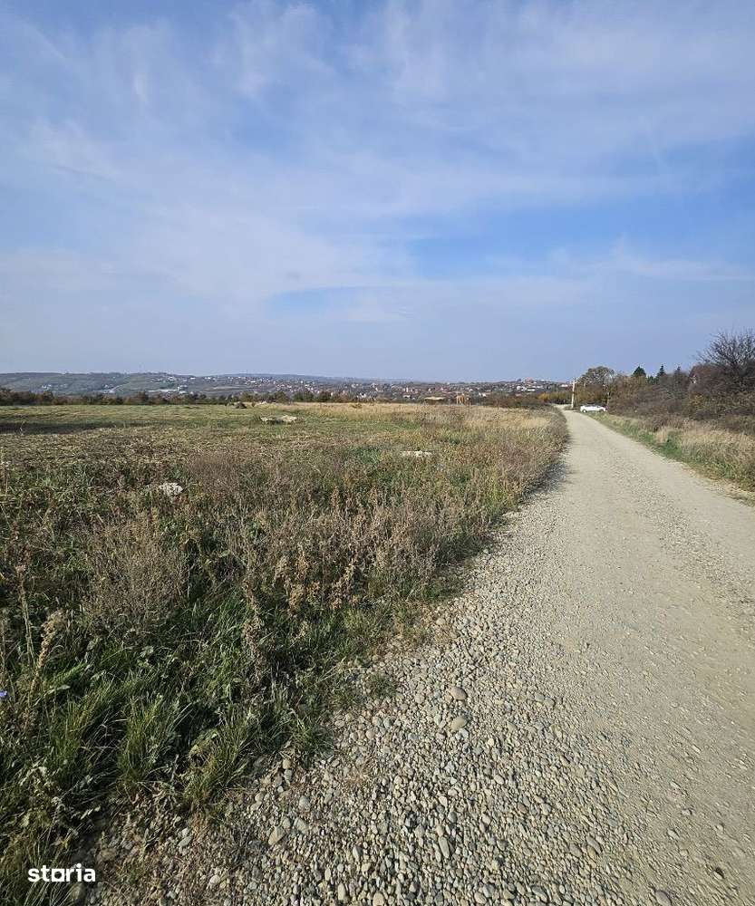 Teren intravilan de vânzare situat în Saldabagiu de Munte! - Imagine principală: 5/9