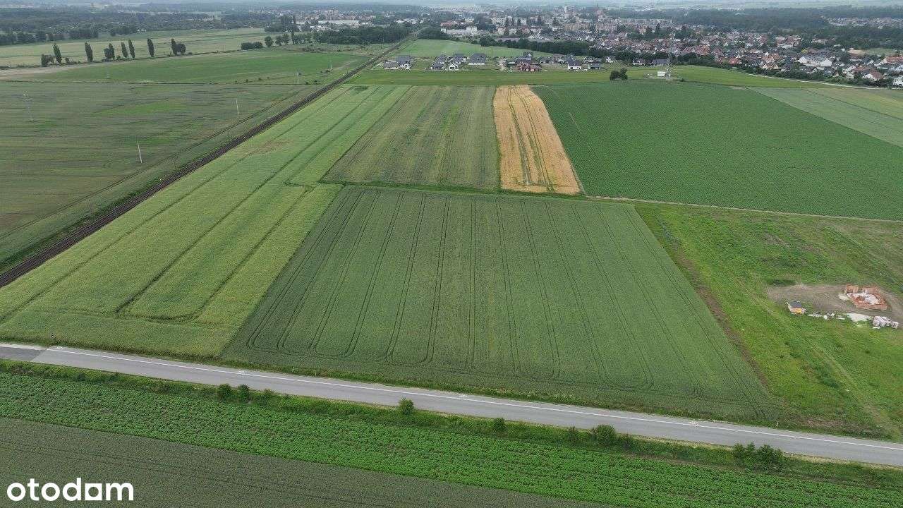 Działka pod zabudowę mieszkaniową | 1,9 Ha - Pełny obrazek: 5/8