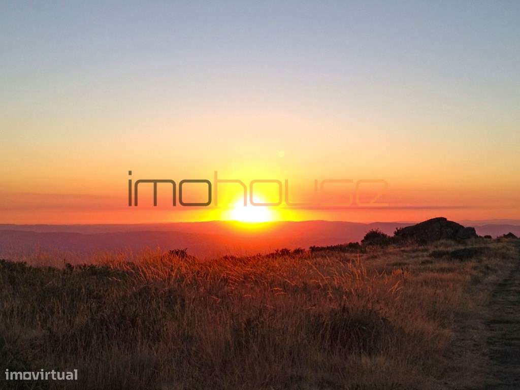 Terreno de 84 hectares-34