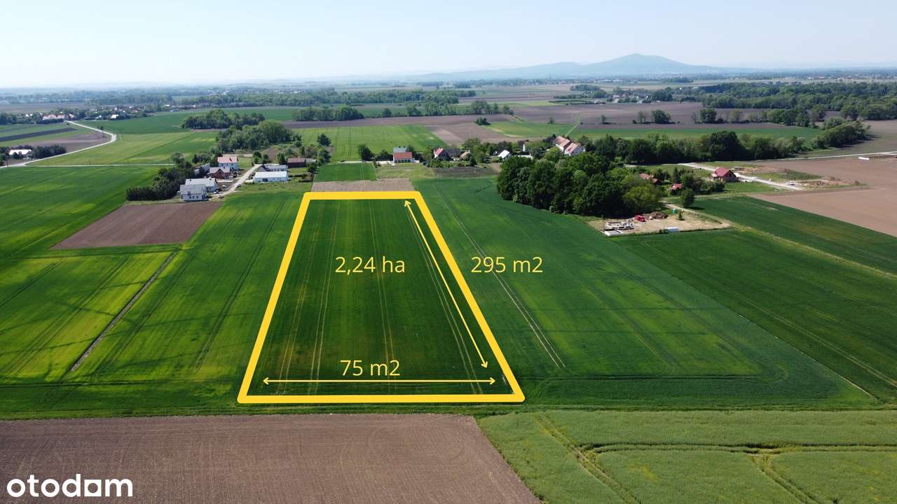 Malowniczy teren rolny  2,24 ha w pobliżu Wrocławia-1