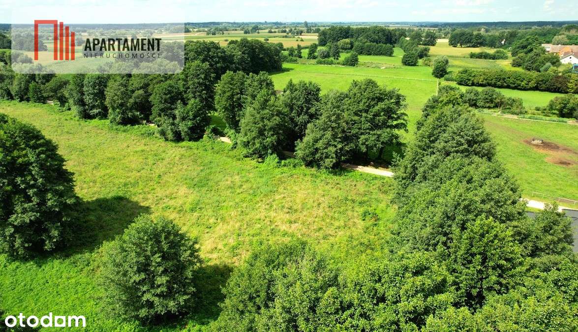 Zławieś Wielka 1468 m2  Projekt Domu W Cenie - Pełny obrazek: 4/13