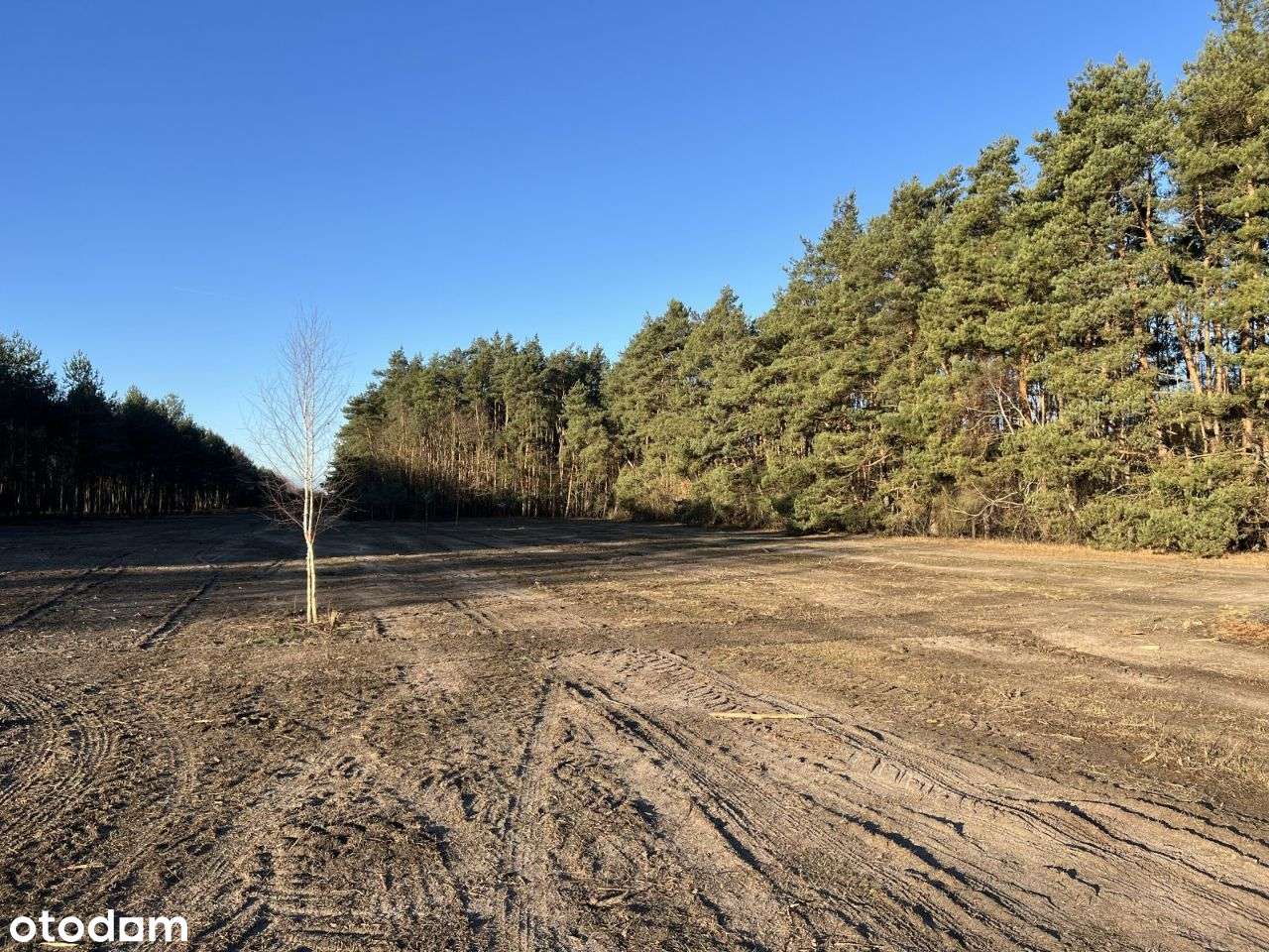 DZIAŁKA BUDOWLANA z MPZP 1400m2, Juliopol - Pełny obrazek: 5/6