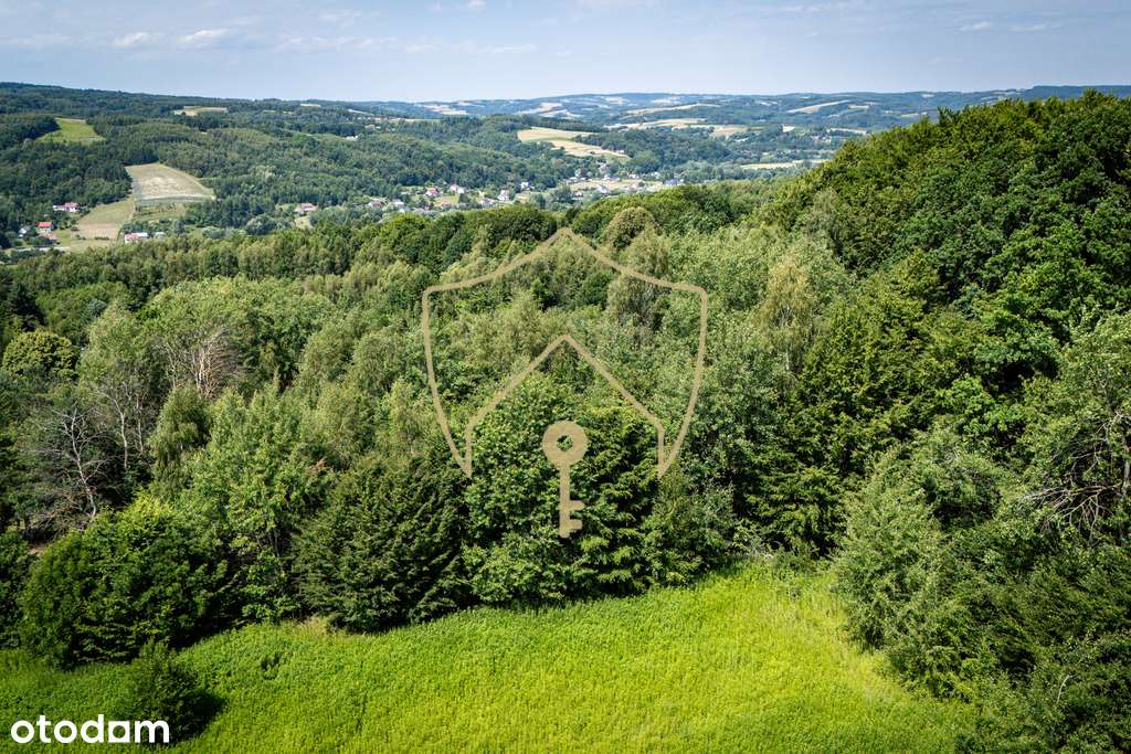 2,5ha z własnym lasem, WZ oraz mediami - Pełny obrazek: 4/16