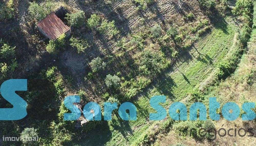 Terreno Região Demarcada do Douro. Com uma área de 32 hectares-Frei... - Grande imagem: 3/16