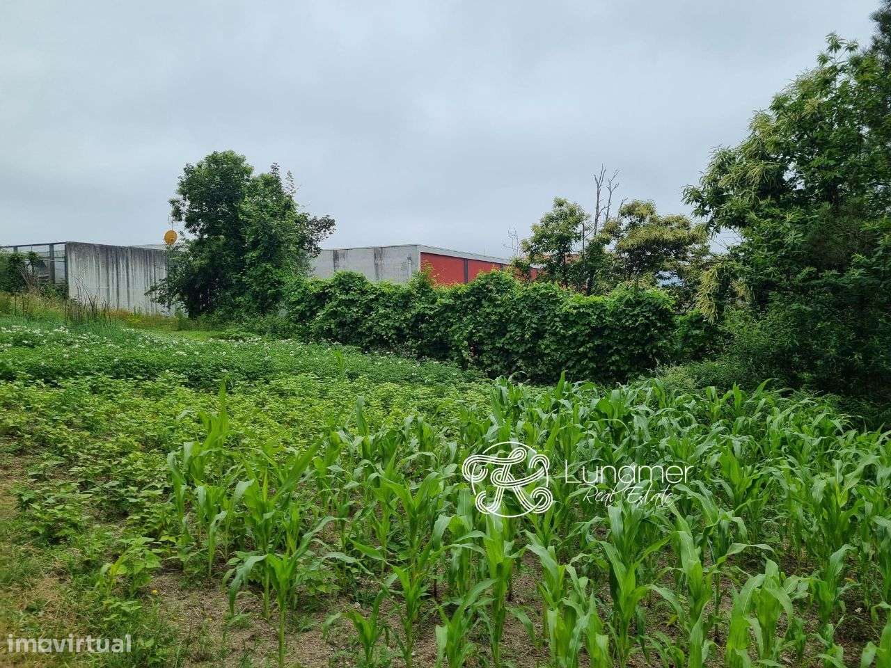 Terreno em Louredo, Vieira do Minho - Grande imagem: 5/9