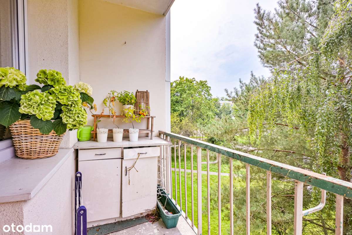 3 pokoje Żabianka w 4 piętrowym bloku - Pełny obrazek: 5/13