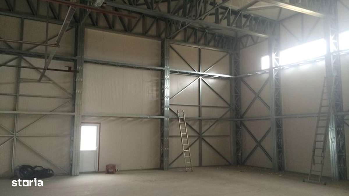 Teren intravilan Balotesti / Saftica-8