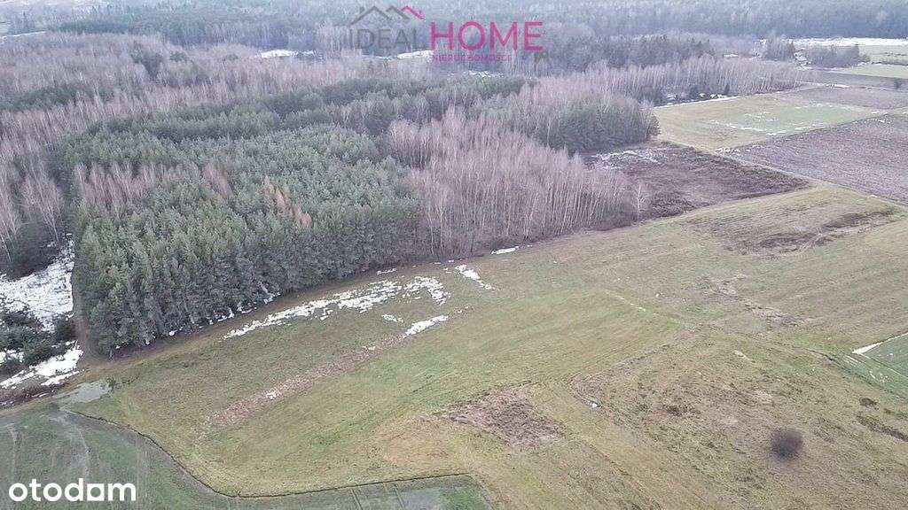 Działka rolna na sprzedaż - Kamień 17 ar - Pełny obrazek: 4/12