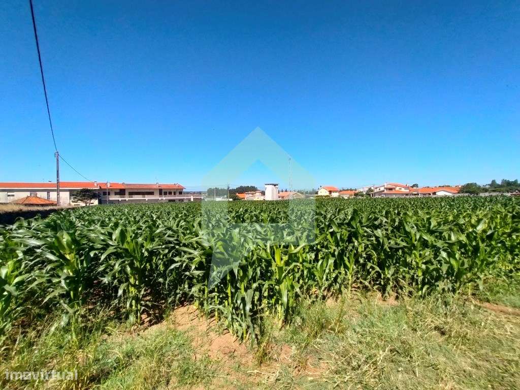 Terreno para Loteamento de 29 moradias e uma loja com projeto aprov... - Grande imagem: 5/36