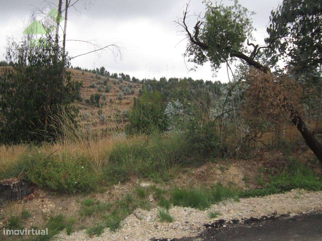 Lotes de Terreno em Canedo (NOVO VALOR) - Grande imagem: 5/11