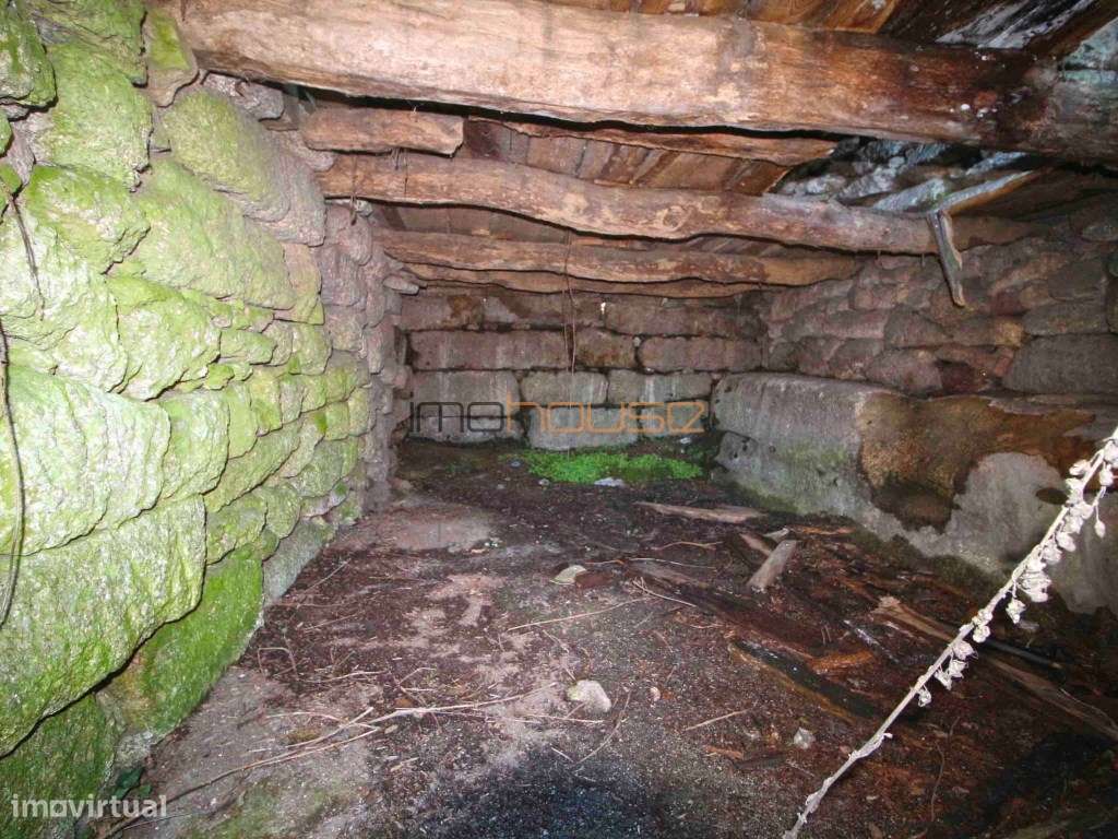 Terreno de 84 hectares-20