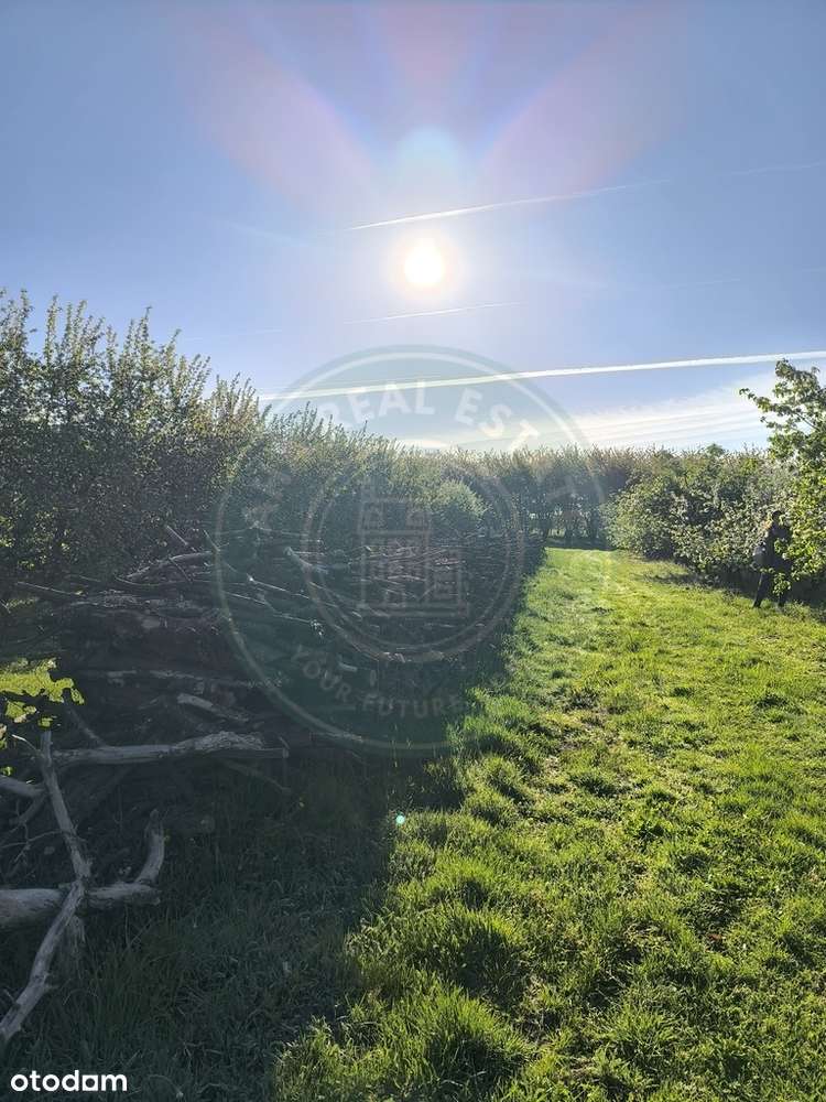 Malowniczy park z sadami i stawem blisko Warszawy - Pełny obrazek: 5/17