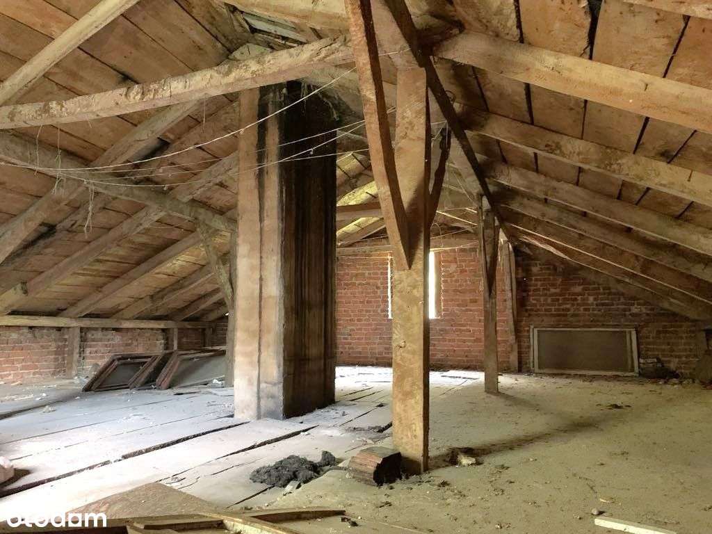 dom w środku lasu gm. Izbica Kujawska woj Kujawsko-10