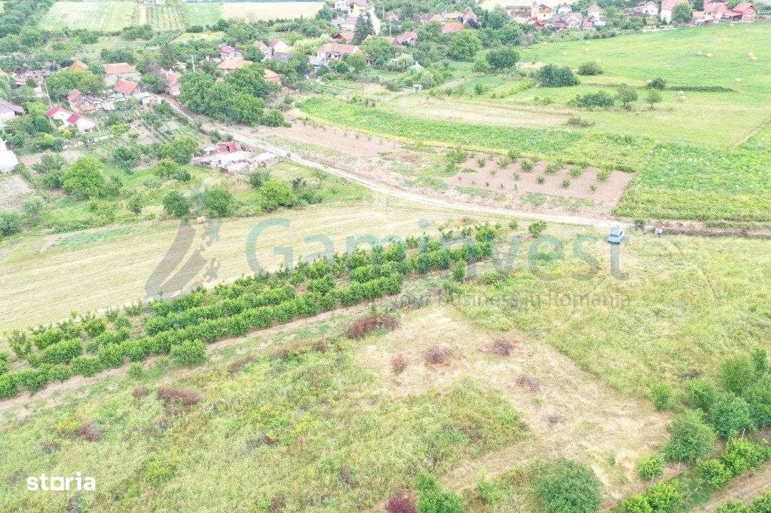 Gaminvest Teren intravilan de vanzare in Saldabagiu de Munte, V3183 - Imagine principală: 3/3