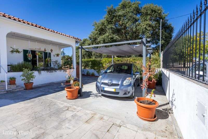 Moradia Térrea com Jardim - Grande imagem: 3/12