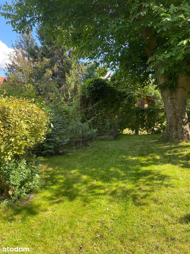 Mieszkanie z ogródkiem | Parking | Niski Czynsz-17