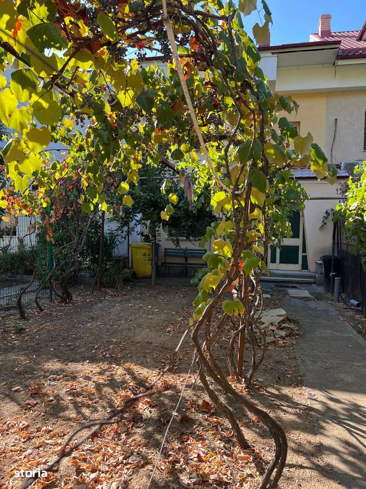 vila parcul Puskin - scoala 22 "Mircea Eliade" - Imagine principală: 4/10