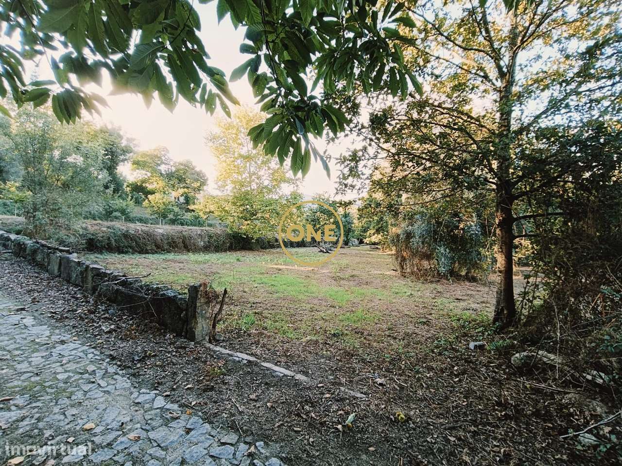 Terreno Souto - Terras de Bouro - Grande imagem: 4/14