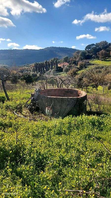 Terreno  para venda-11