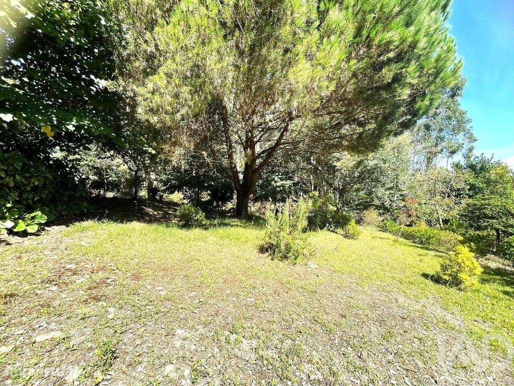 Terreno para construção em Durrães E Tregosa de 300,00 m2 - Grande imagem: 4/9