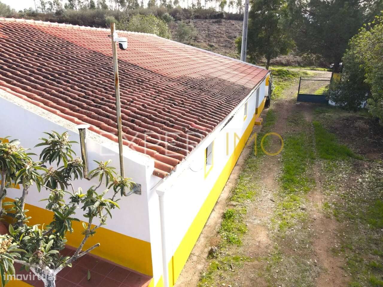 Quinta mista Localizada na zona da Serra de Selmes, Vidigueira Beja - Grande imagem: 5/33