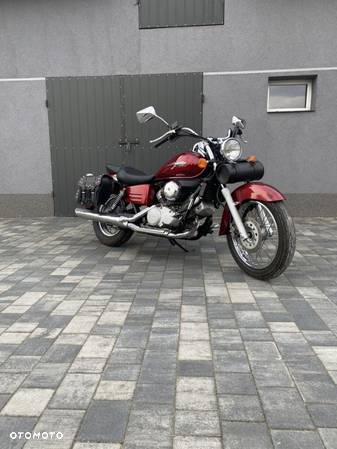 Honda Shadow - 3