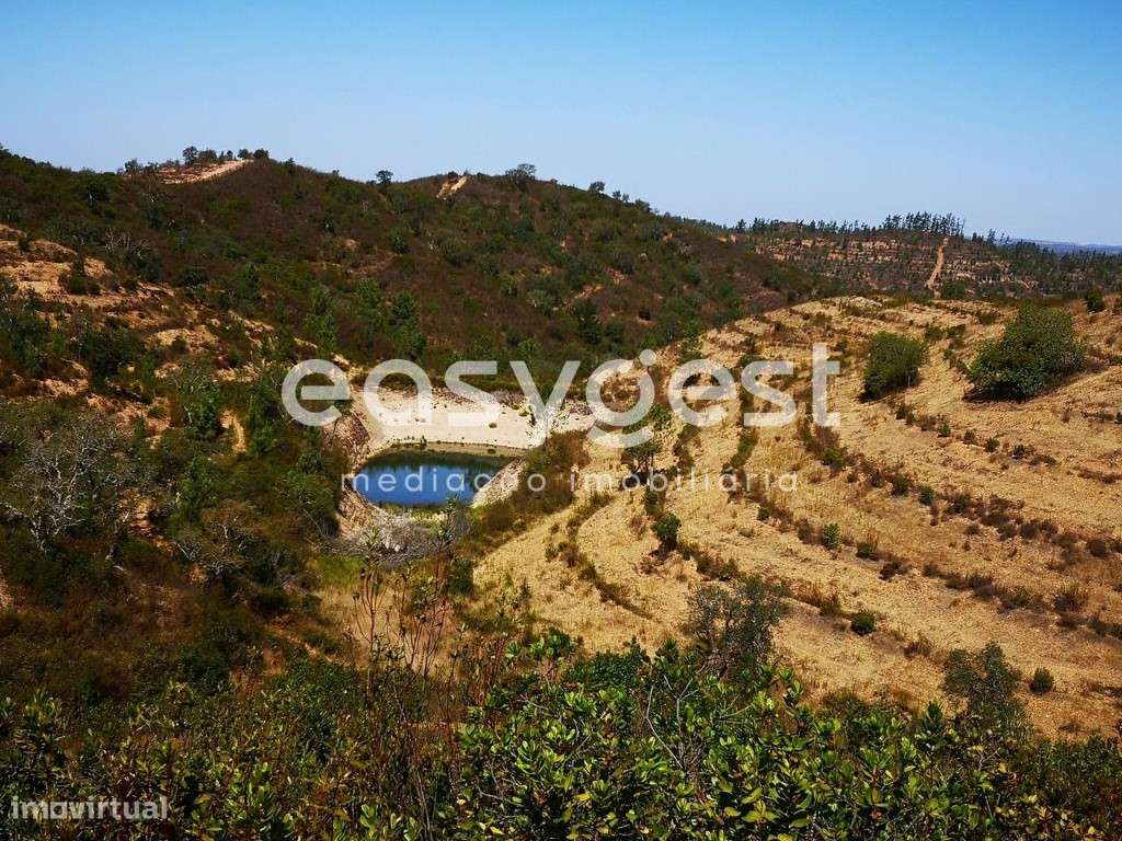 Monte perto da barragem de Sta Clara C/ pomar de Medronheiros - Grande imagem: 5/10