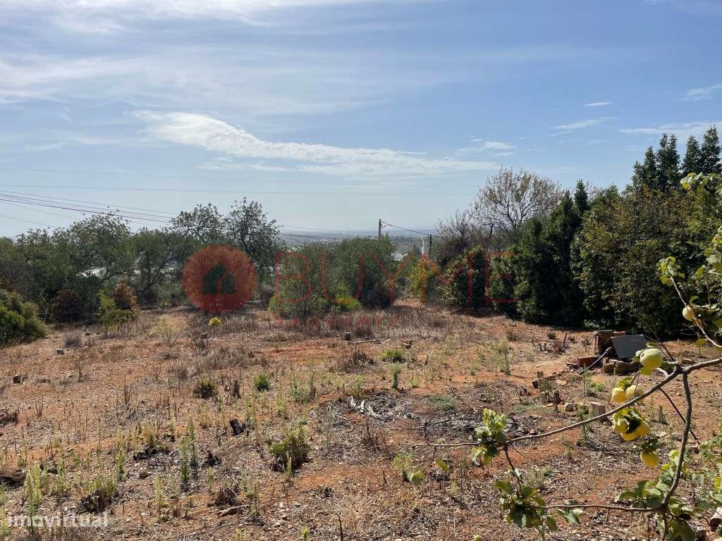Terreno Urbano para Construção de Moradia - Santa Bárbara de Nexe - Grande imagem: 4/19