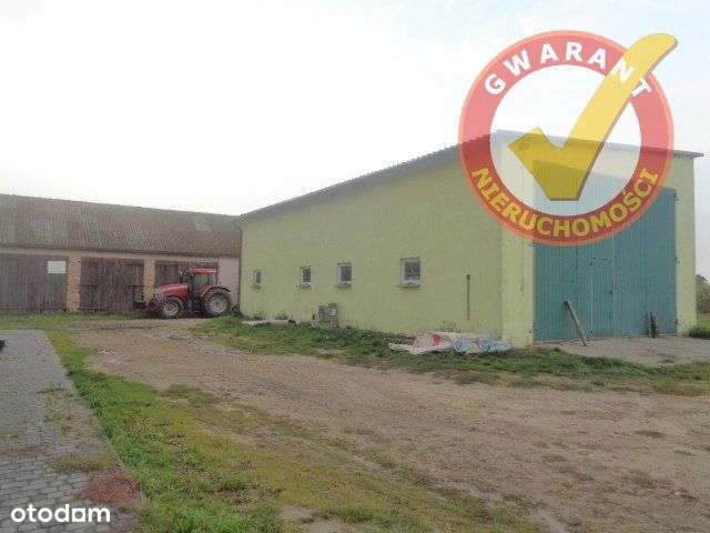 Dom Wolnostojący Z Halą W Wierzbowie Koło Lisewa ! - Pełny obrazek: 4/19