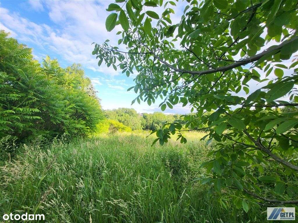 Atrakcyjna działka w Gaju - Pełny obrazek: 5/17