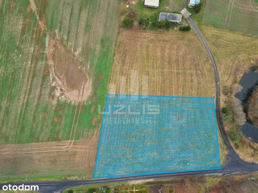 Działka budowlana z warunkami zab. 3278 m2 Sucumin - Pełny obrazek: 5/7