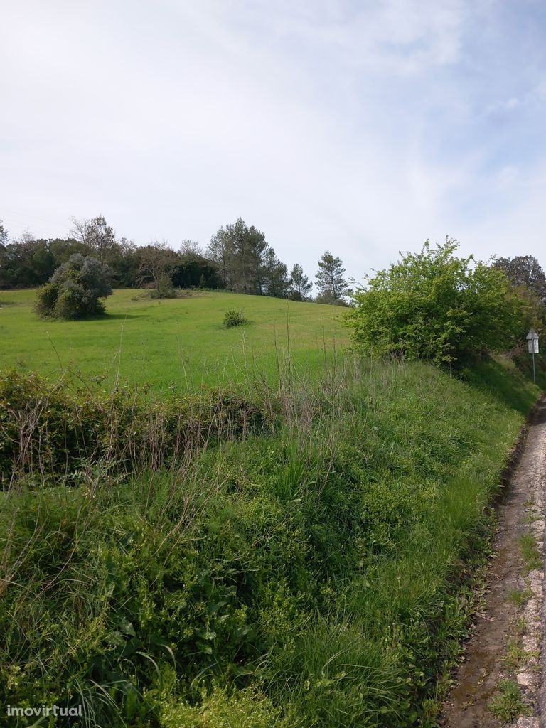 Terreno rústico 20,54 hectares na Olaia - Torres Novas