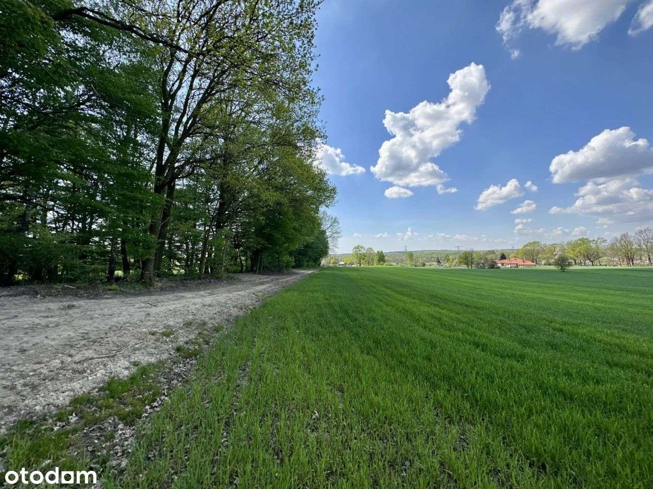 Działka z lasem - Mysłowice, ul. Graniczna-4