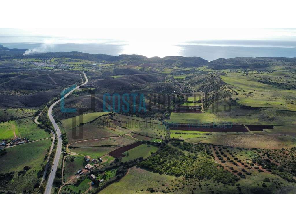 Terreno Rústico com Plantação de Pinheiros na Raposeira - Grande imagem: 4/24
