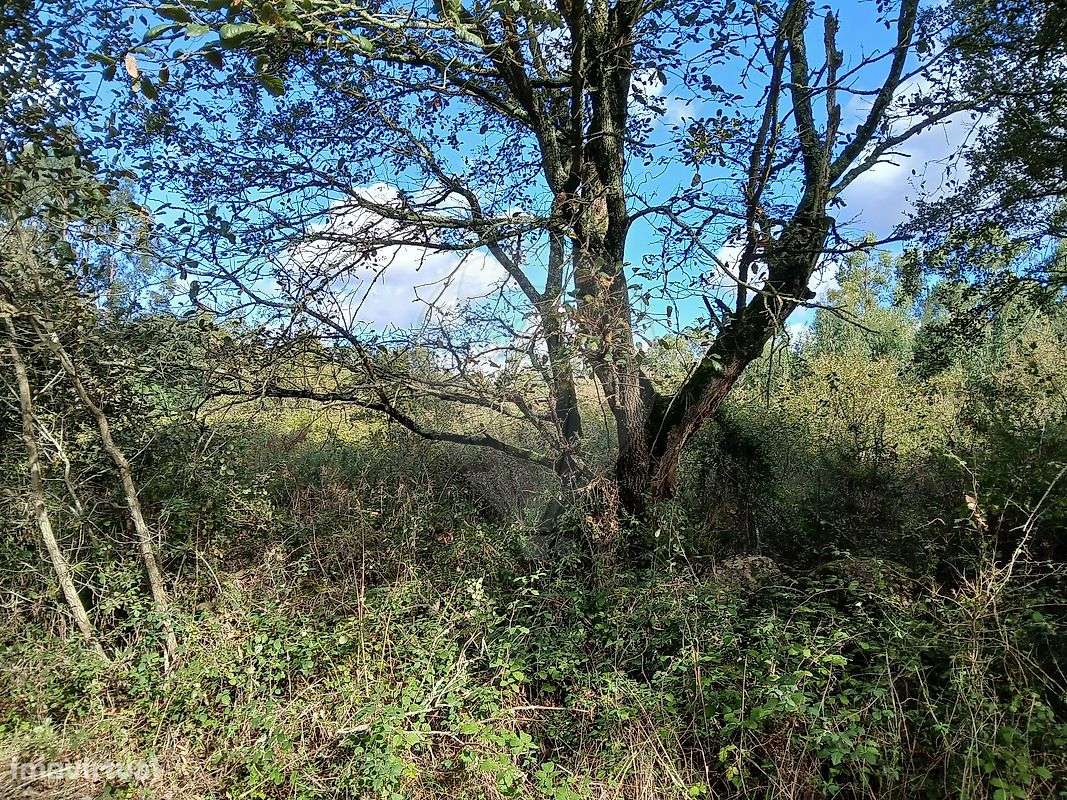 Terreno  para venda - Grande imagem: 4/8